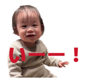 842406595