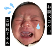 842406606