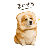 842406627