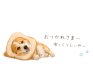 842406638