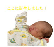 842406655