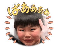 842406685