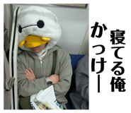 842406915