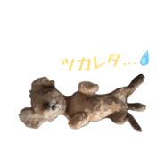 842407653