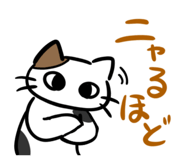842407698