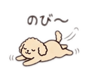 842408010