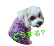 842408259