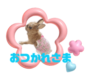 842408268