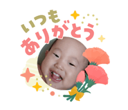 842408385