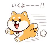 842408665
