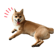 842408753