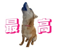 842408754