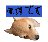 842408756