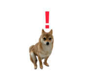 842408757