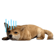 842408759