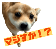 842408760