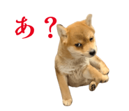 842408762