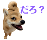 842408764