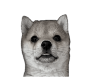 842408768