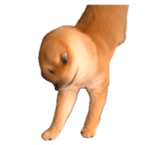 842408769