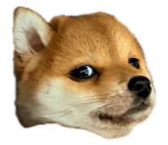 842408770