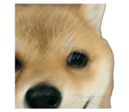 842408772