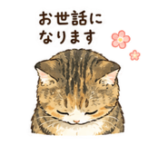 842409633