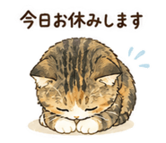 842409646