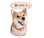 842409758