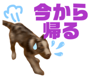 842410643