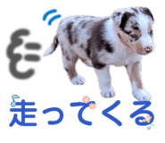 842410656
