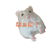 842410861
