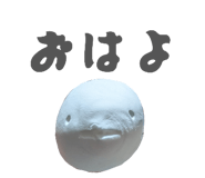 842411026
