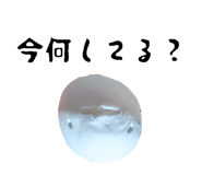 842411037