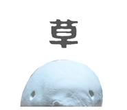 842411050