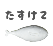 842411054