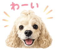842411224