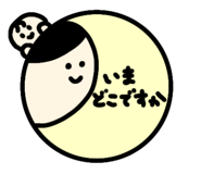842411234