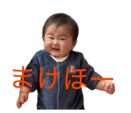 842411338