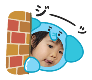 842411394