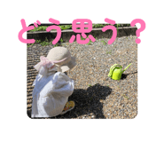 842411399