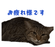 842411423