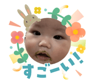 842411629