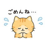 842411651