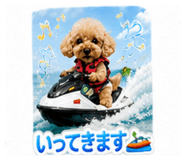 842411678