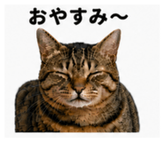 842411958