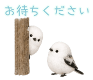 842423447