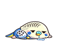 842423485