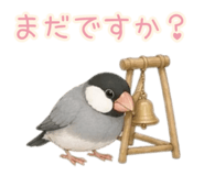 842423509