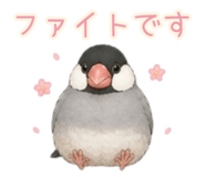 842423513
